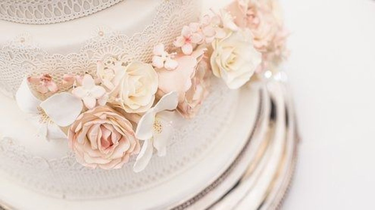 Торттан көйлек киген қыз желіні шулатты