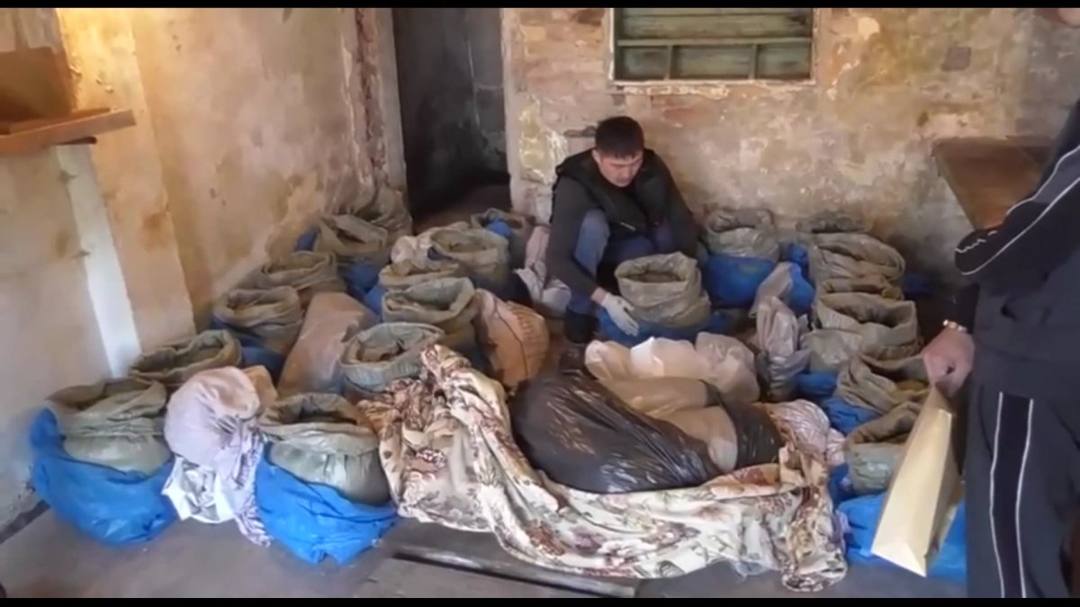 Марихуану на 64 тысячи доз изъяли у жителя Усть-Каменогорска