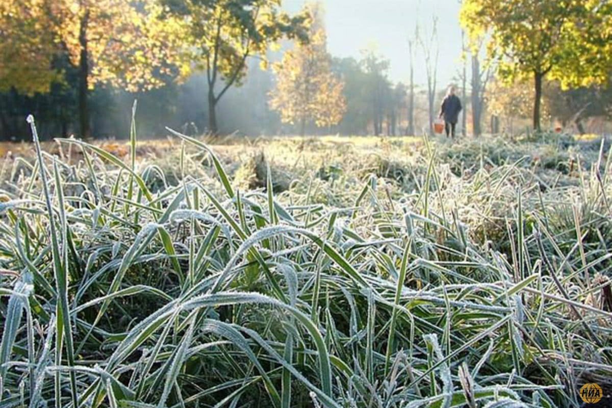 Заморозки придут в Казахстан на выходных