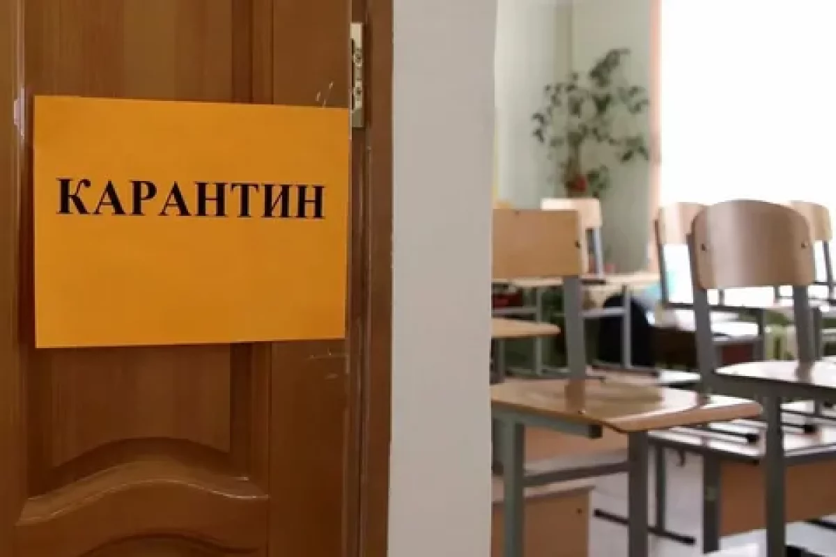 Қызылша дерті өршіді: карантин енгізіле ме?