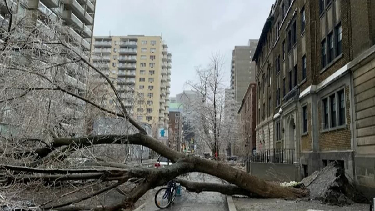 Жертвами ледяного шторма в Канаде стали два человека