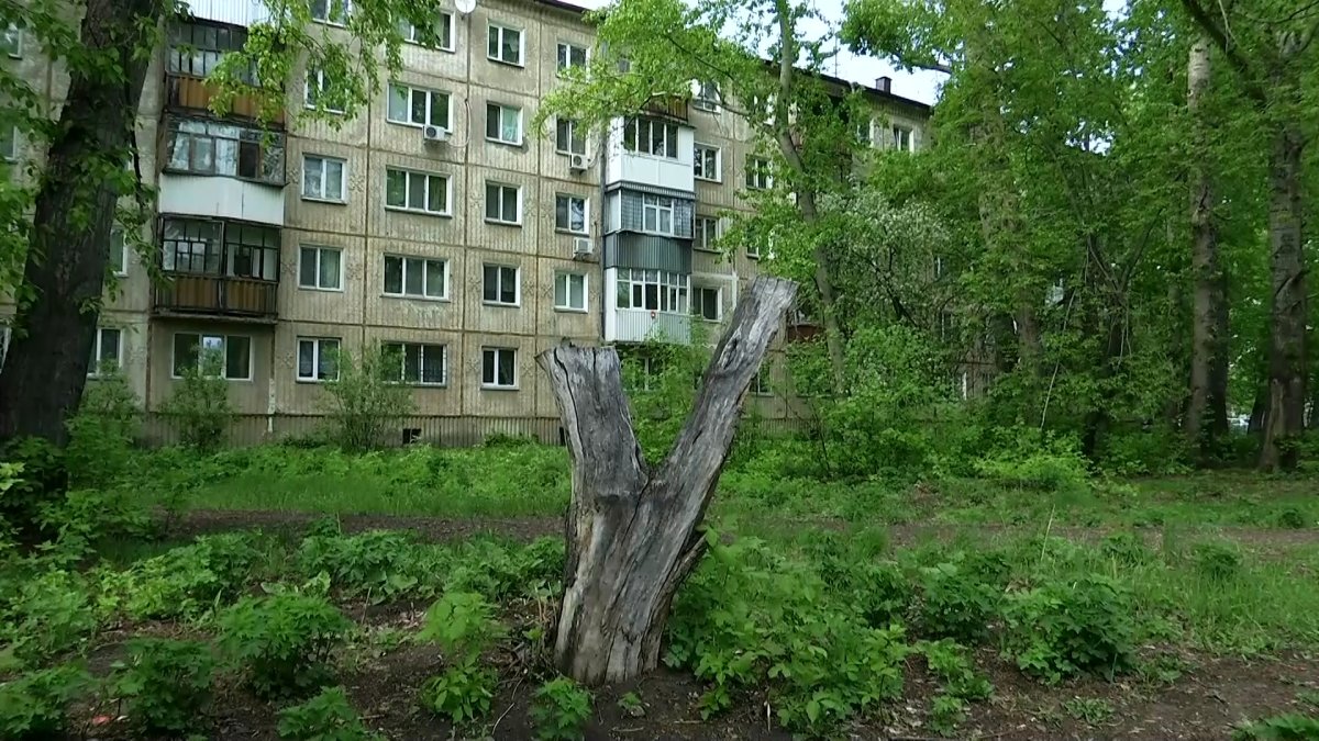 «В кустах ищите своего сотрудника»: владельца полицейского кителя разыскивают в Петропавловске