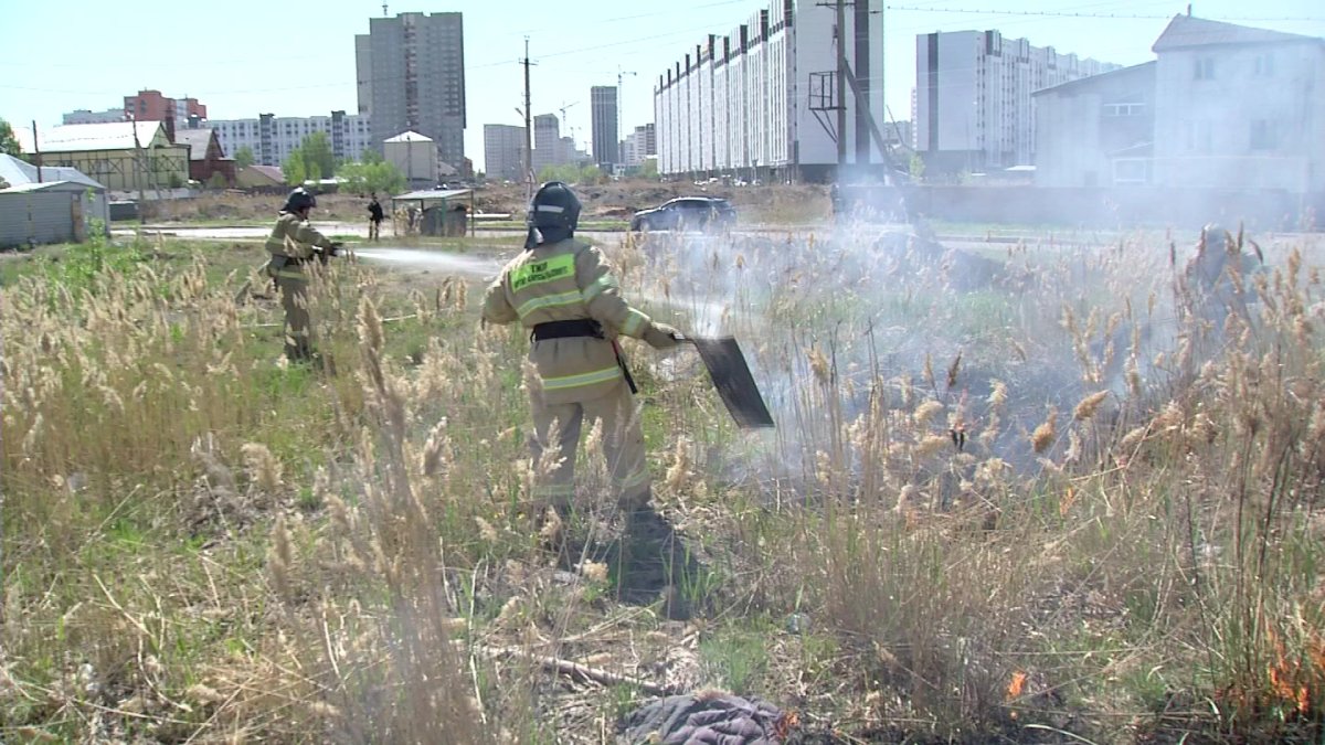 «Орман мекемелеріндегі техниканың 55 пайызы табиғи өртті сөндіруге қауқарсыз», - ТЖМ