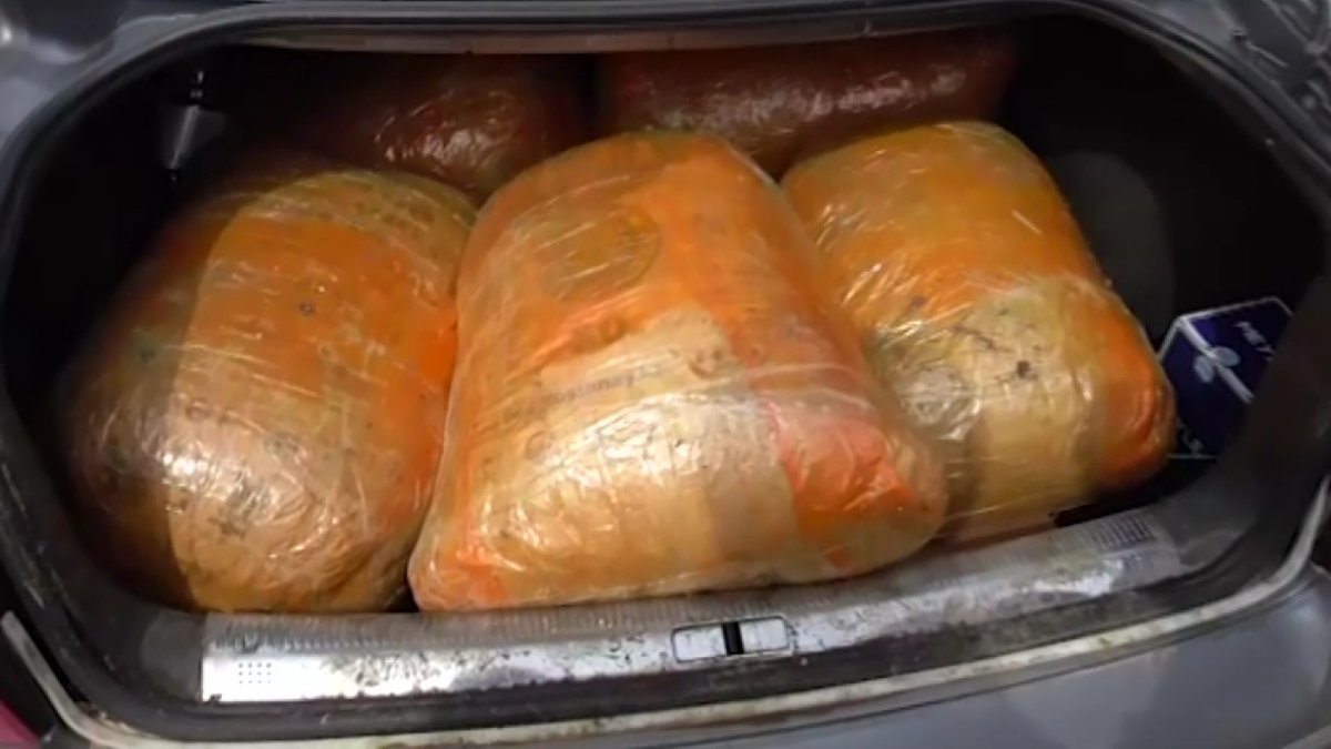 Қызылжарда соңғы он жылдағы ең ірі есірткі партиясы тәркіленді