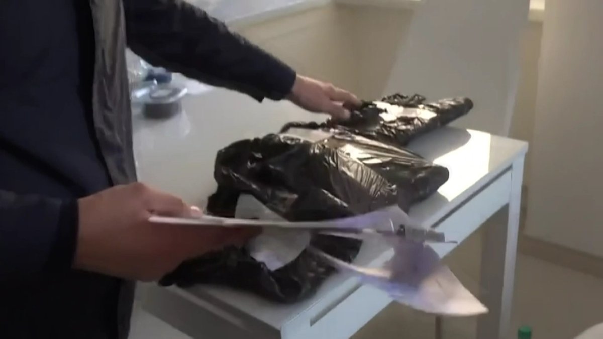 Экономикалық тергеу департаментінің бұрынғы қызметкері жемқорлықты жасырғаны үшін істі болды