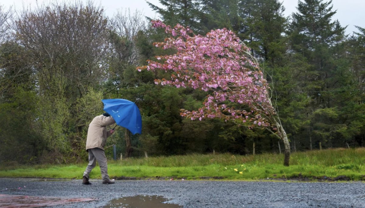Ветер и заморозки: прогноз погоды на 18 и 19 мая
