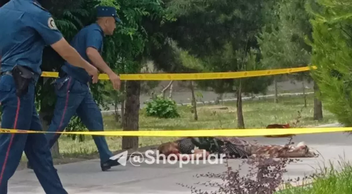 Белгісіз біреу қызды күндіз пышақтап өлтірген