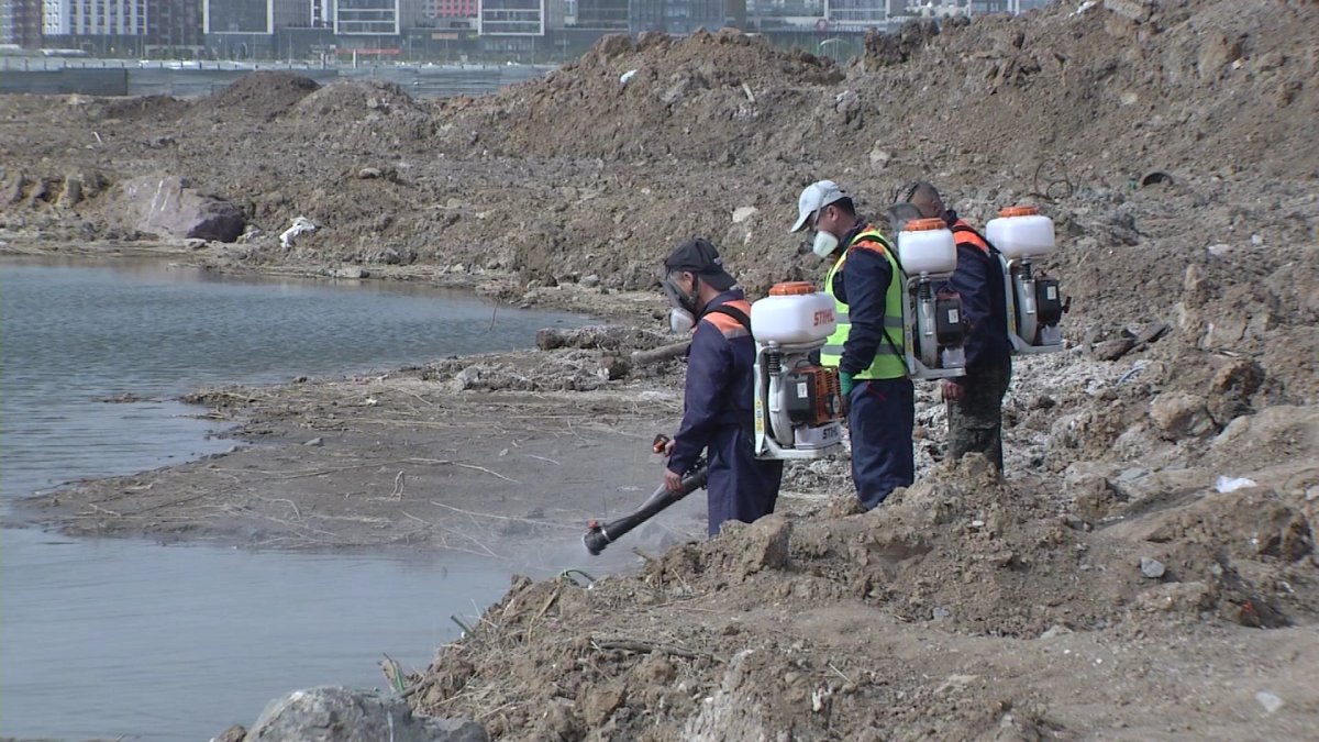 "Маса 85% жағдайда адамның киімінің түсіне қарайды, ақ түсті жақтырмайды"