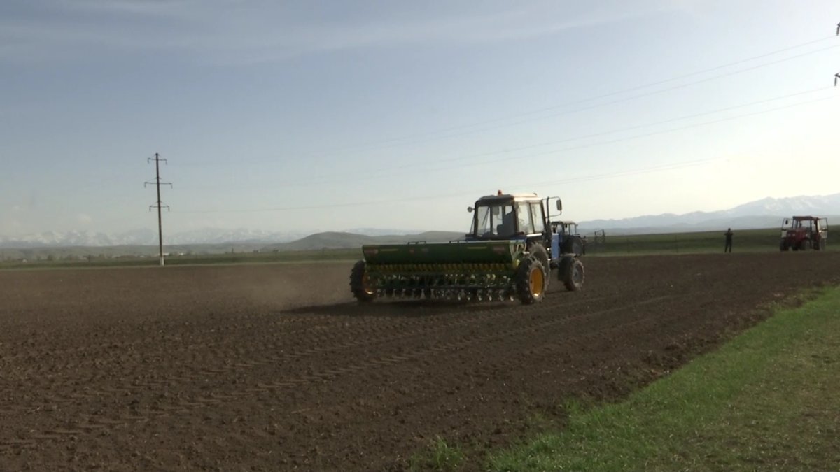 Алматы облысында жыл басынан бері 40 мың гектердан астам пайдаланылмаған жер мемлекет меншігіне қайтарылды