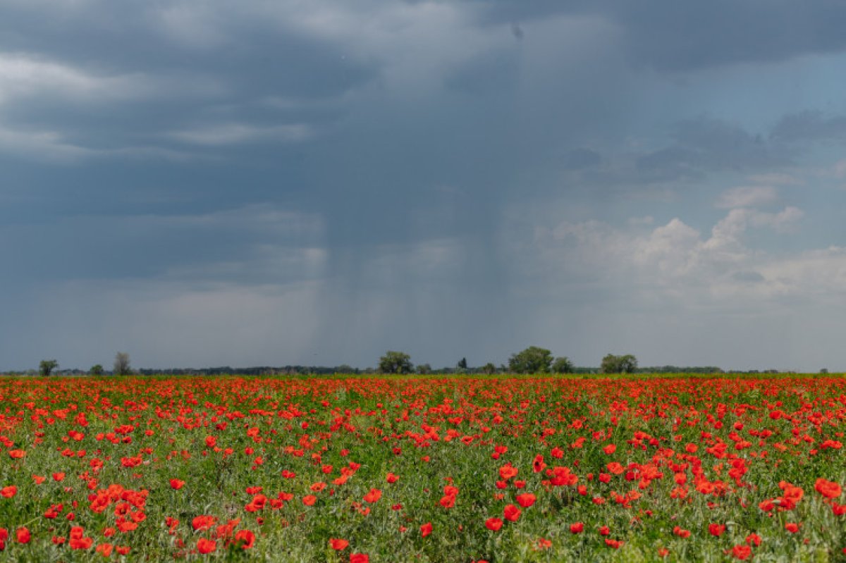 Мұны көру үшін шетелден туристер келеді. Алматыдан 45 шақырым жерде не бар?