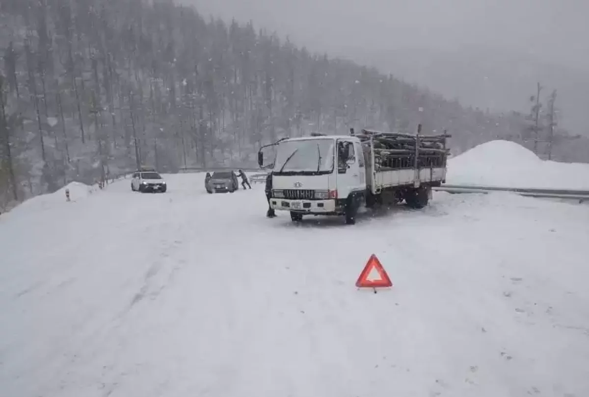 Моңғолияда қарлы боран соғып тұр