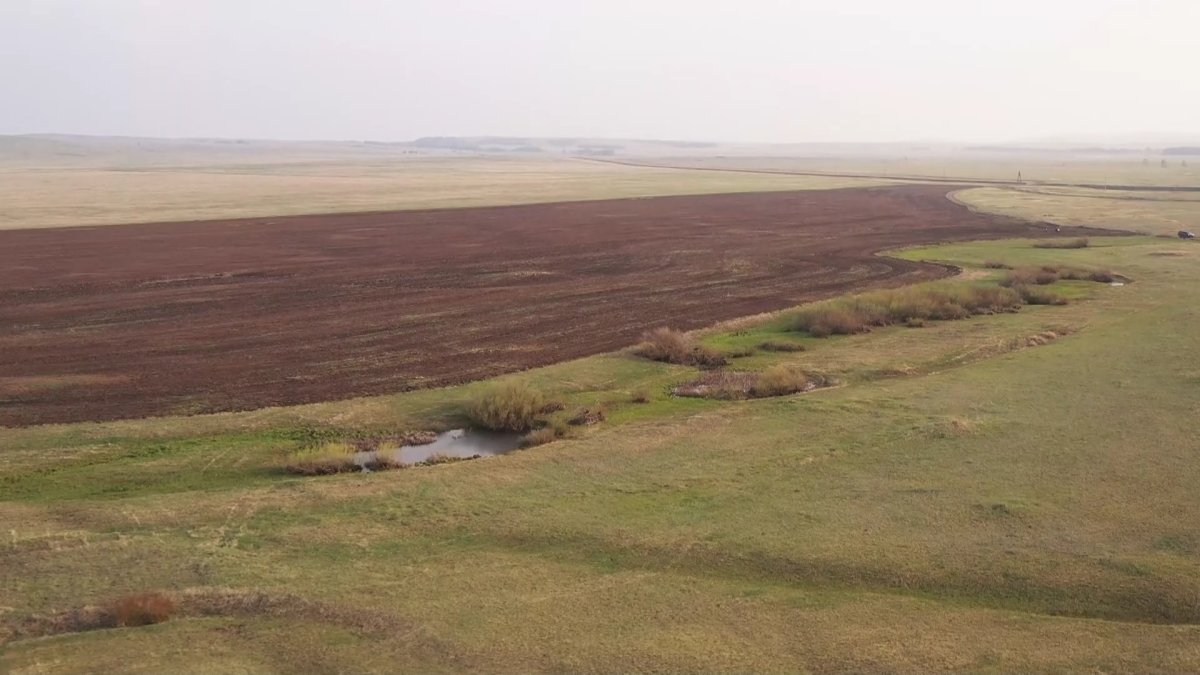 Фермеры четыре года судятся за землю в Карагандинской области