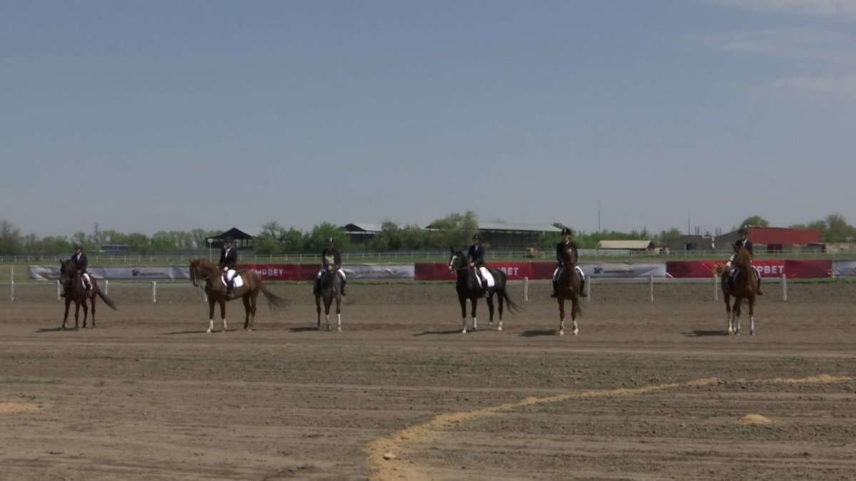 Алматы облысында ұшқыр бәйгеден турнир ұйымдастырылды