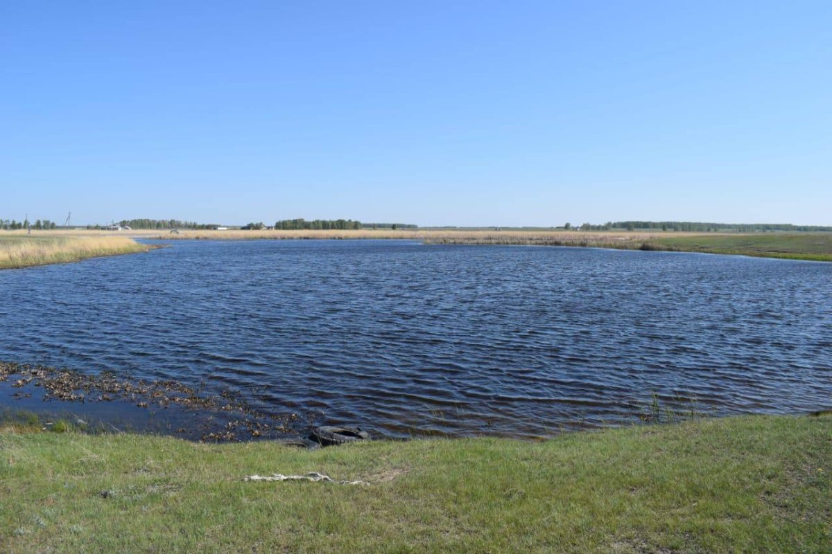 Восьмиклассница утонула при загадочных обстоятельствах в СКО