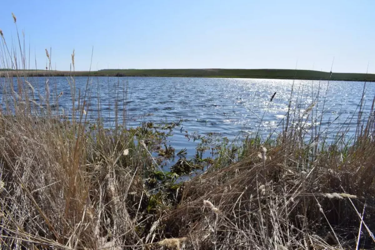 СҚО-да шұңқыр судан 8-сынып оқушысы өлі табылды