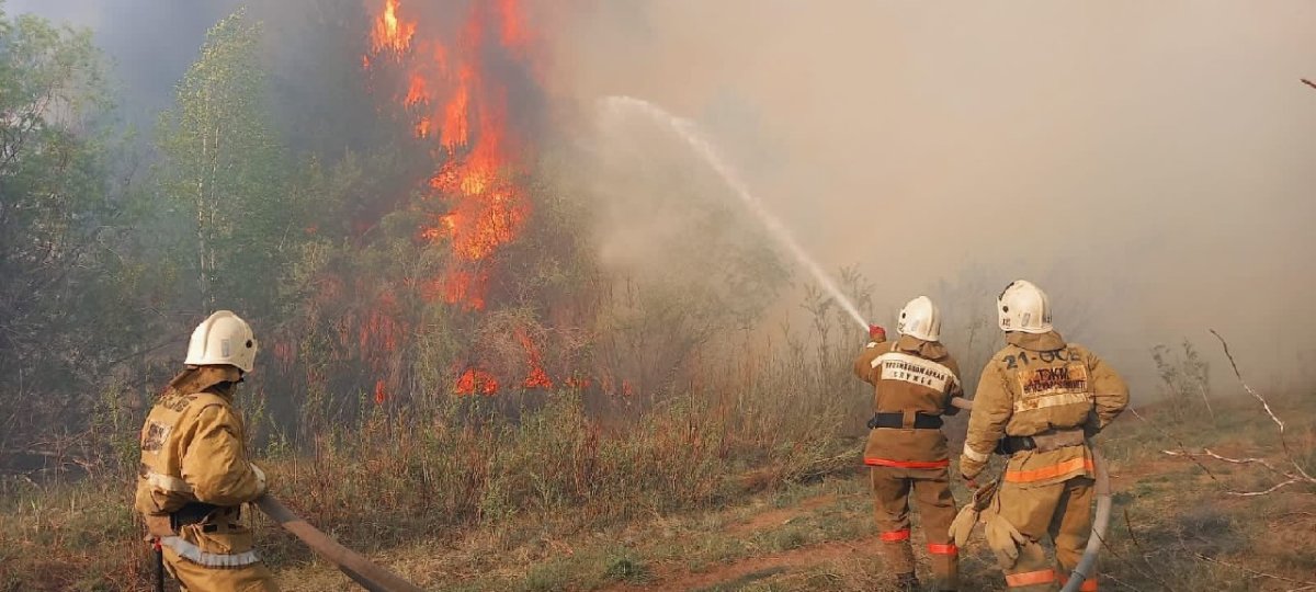 Лесной пожар вспыхнул в Абайской области, под угрозой санаторий
