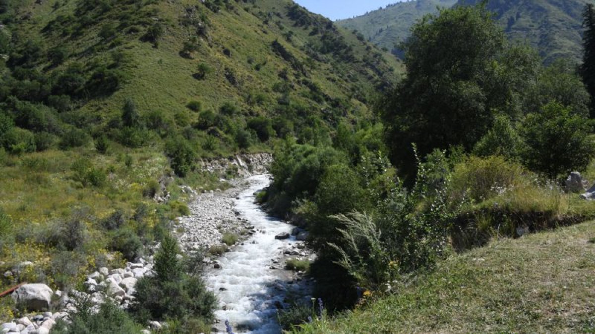 Алматы тауларында Аустралиядан келген турист жоғалып кетті