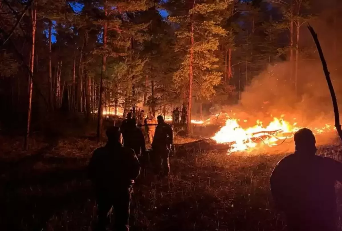 Абай облысында өрт 1,1 мың гектарға тарады - ҚР ТЖМ