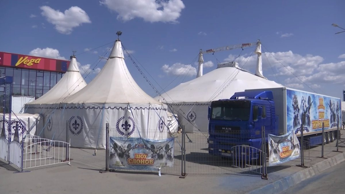 Ақтөбеде көшпелі цирк Сазды өзенін ластап жатыр