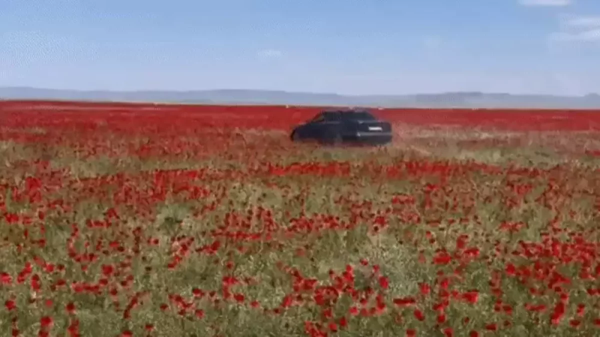 "Қалағанымды істеймін". BMW жүргізушісі Алматы маңындағы көкнәр алқабында дрифт жасаған