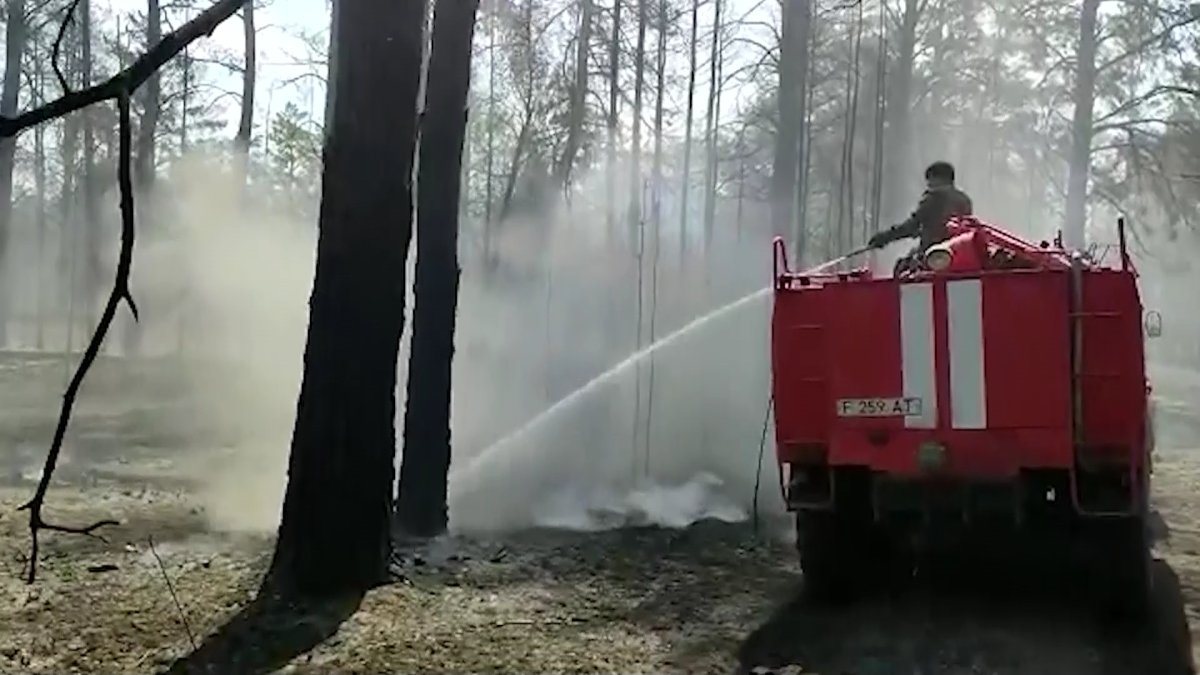 Из-за пожара в области Абай вводят режим ЧС