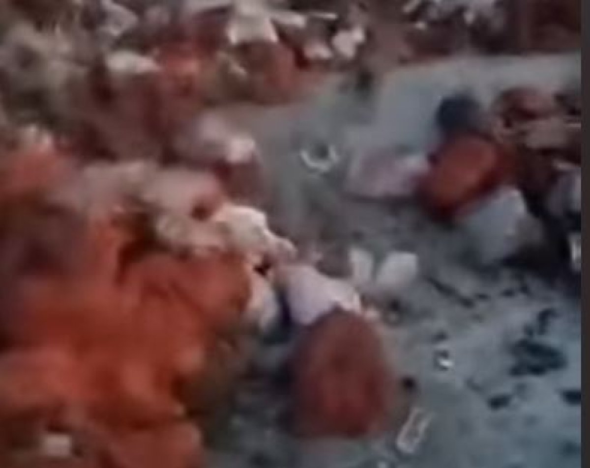 Свалка из предназначенных для продажи продуктов возмутила жителей Кызылорды