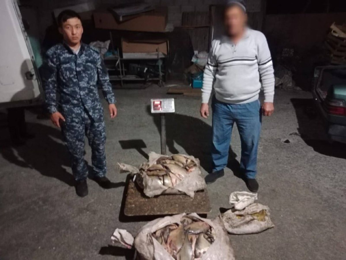 Около 100 кг незаконно выловленной рыбы изъяли у сельчанина в Жетісу