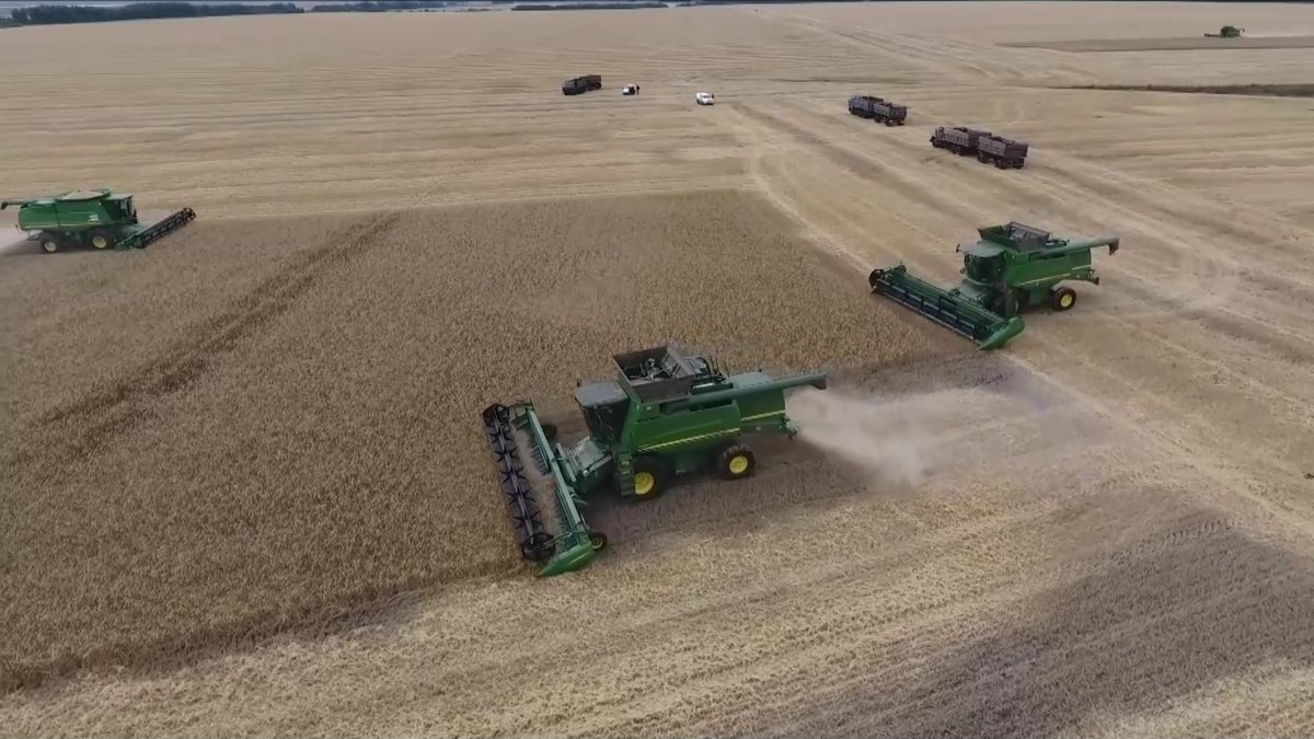 "Еңбек өнімділігін арттырып, ауыл шаруашылығына жаңа технологиялар мен өндіріс тәсілдерін енгізу маңызды, - Тоқаев