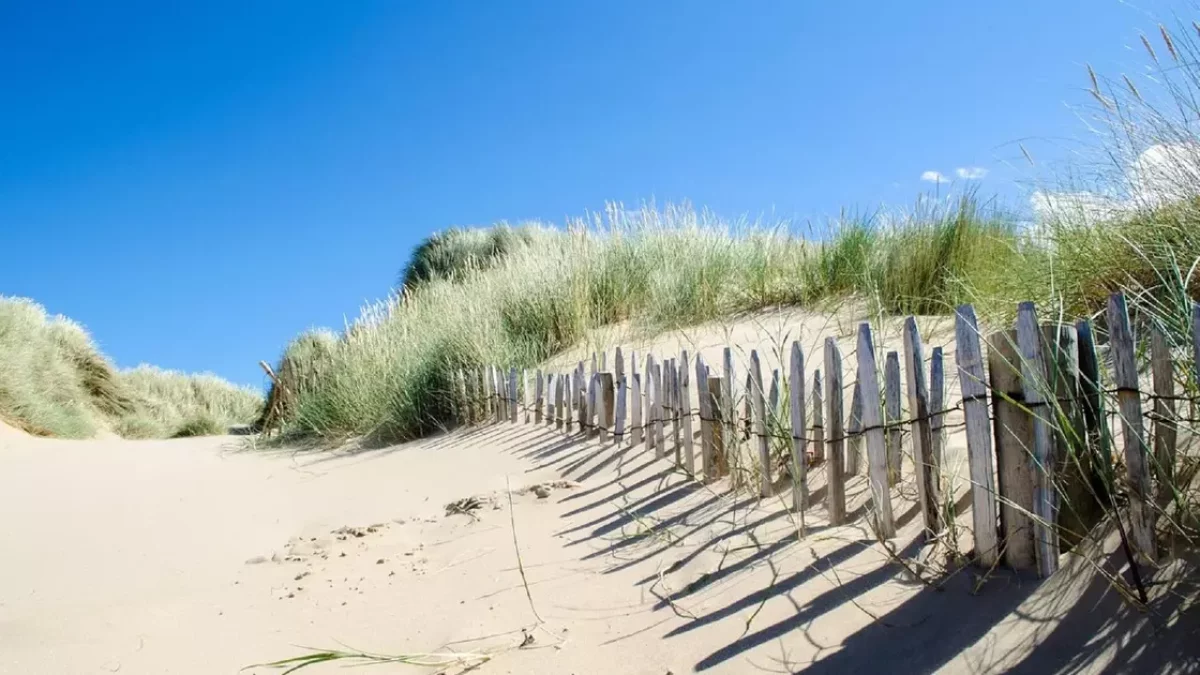 "44 градус ыстық": Азияның кей елдерінде аптап ыстықтан адамдар қайтыс болып жатыр