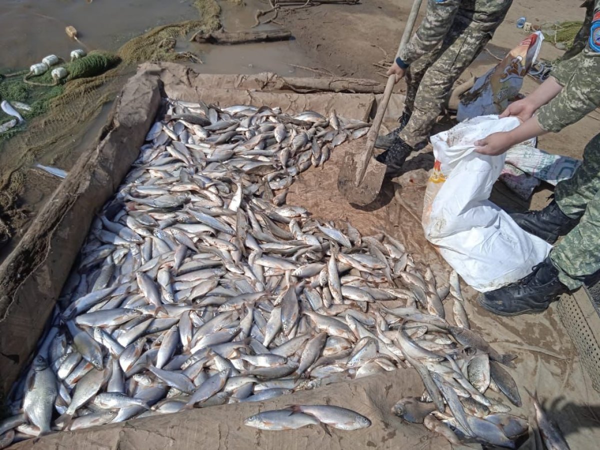 45 западноказахстанцев наказали за рыбалку