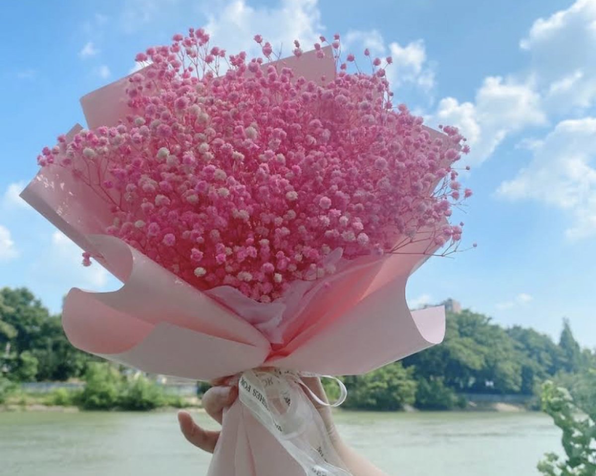 Львы исцелят, Тельцы сияют: гороскоп на 9 Мая