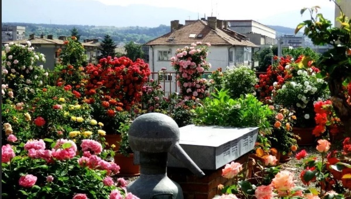 Музей с одним экспонатом открыли в Болгарии