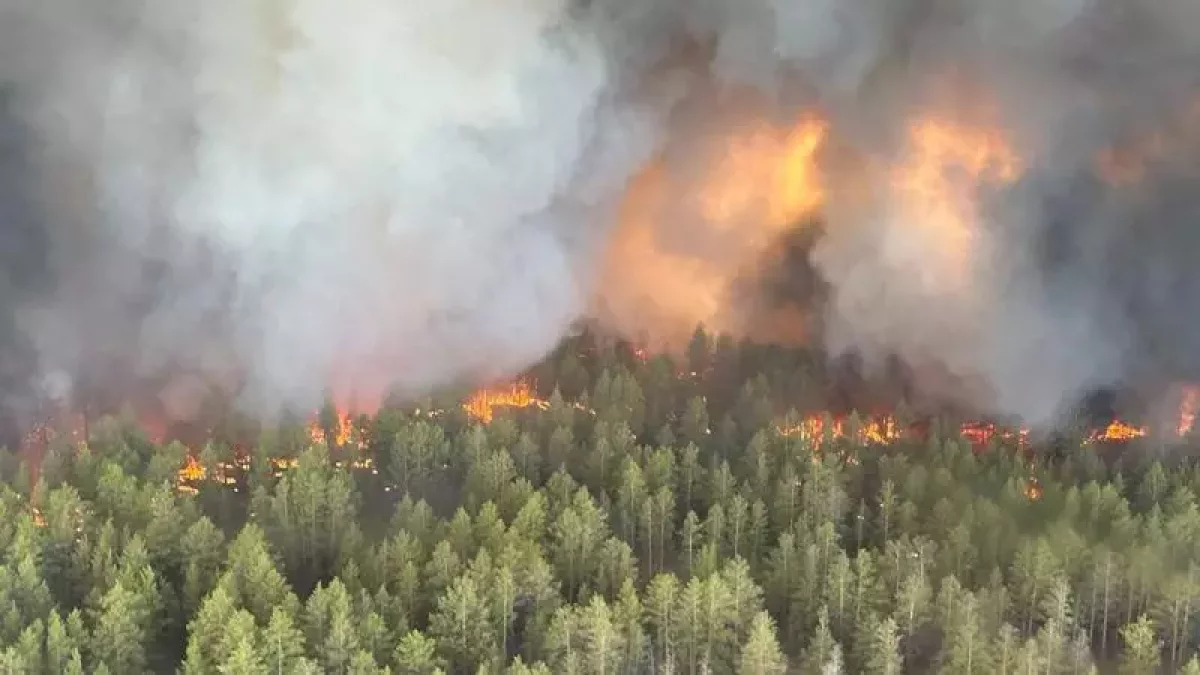Қасым-Жомарт Тоқаев Үкіметке Абай облысындағы өртке  қолда бар барлық ресурстарды жұмылдыруды тапсырды