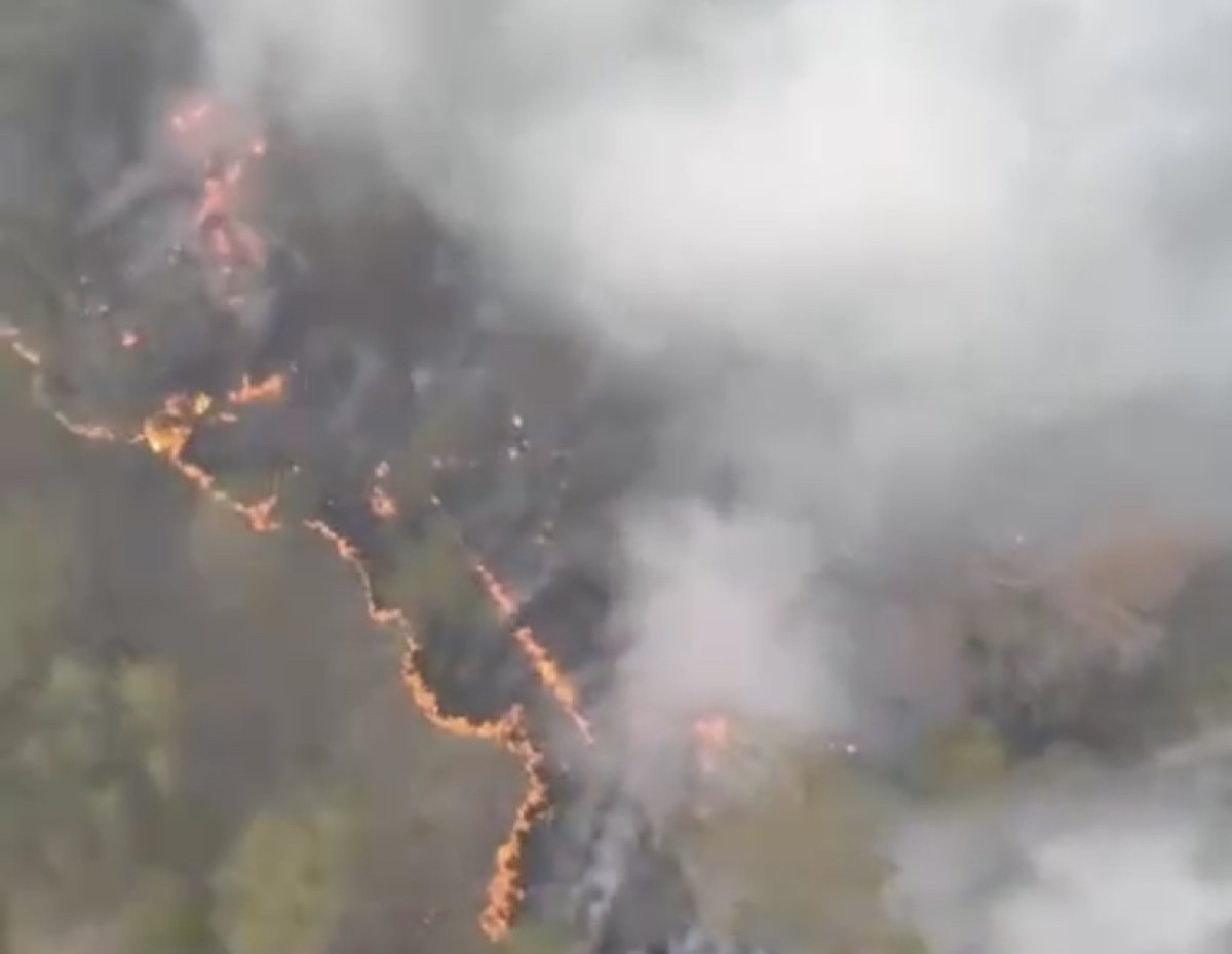 О ситуации с пожаром в области Абай рассказали в МЧС