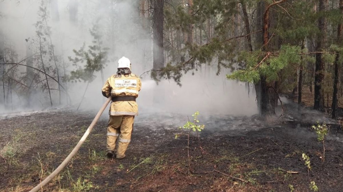 Тела еще 11 погибших обнаружили в области Абай