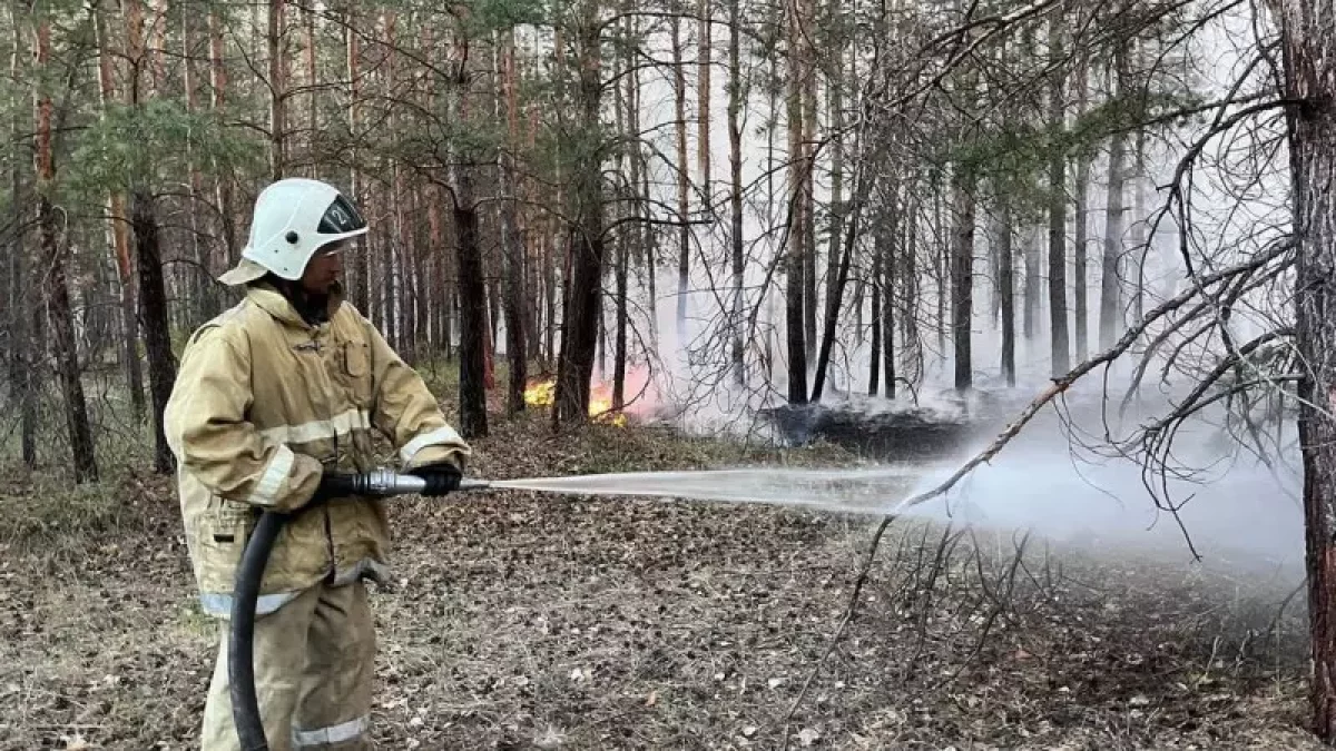 Абай облысында 14 қызметкердің өліміне қатысты қылмыстық іс қозғалды
