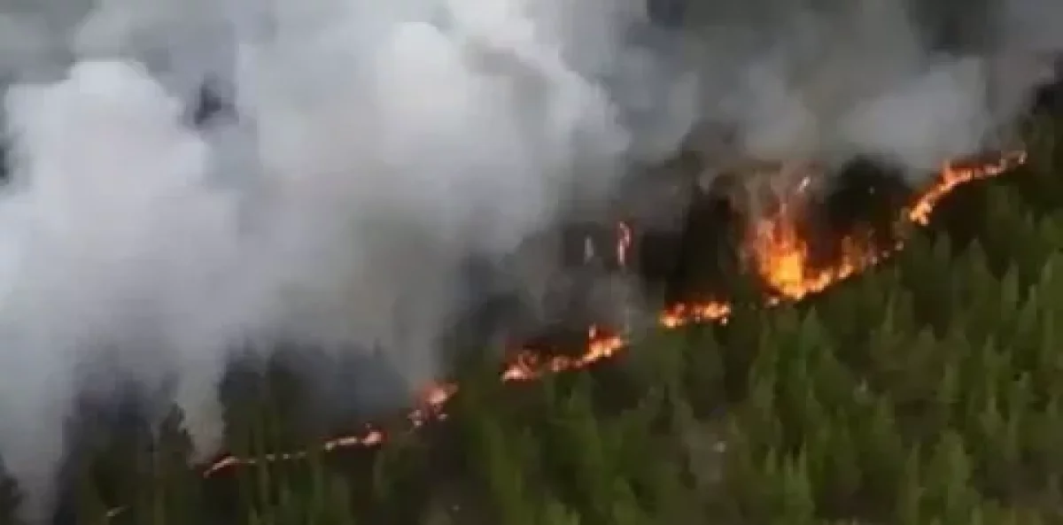 Талица ауылына қарай тараған өрт сөндірілді – министрлік