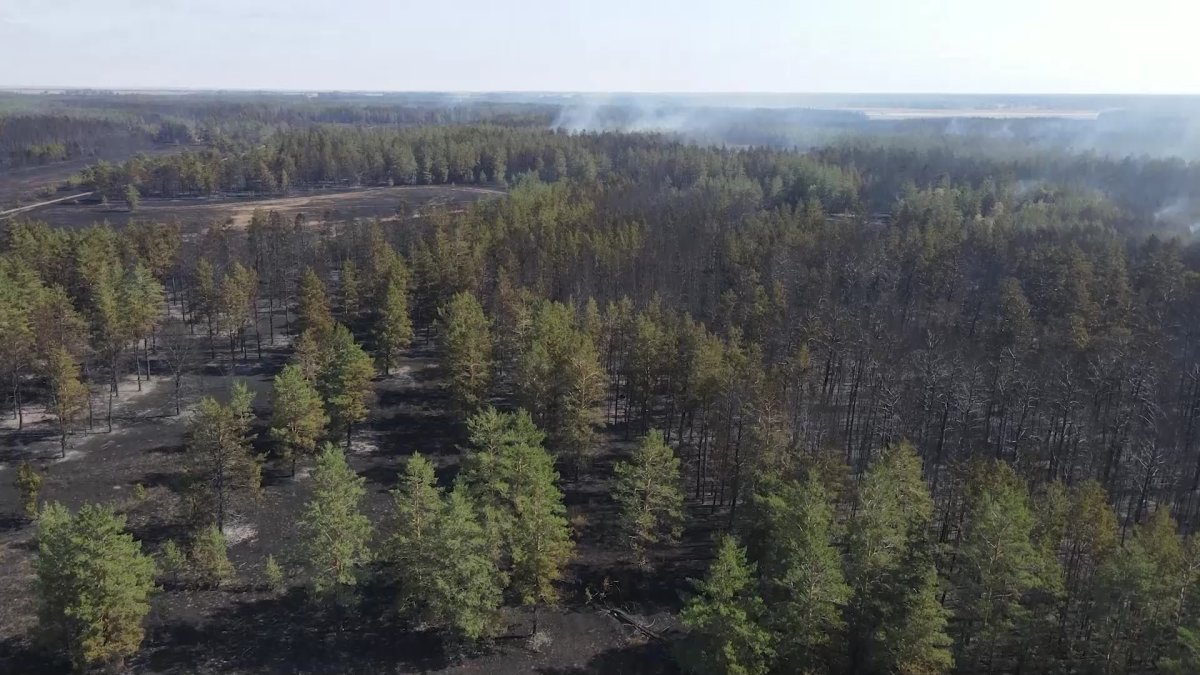 «Өртті сөндіруге адамдар неліктен жеке көлігімен барған» – депутат