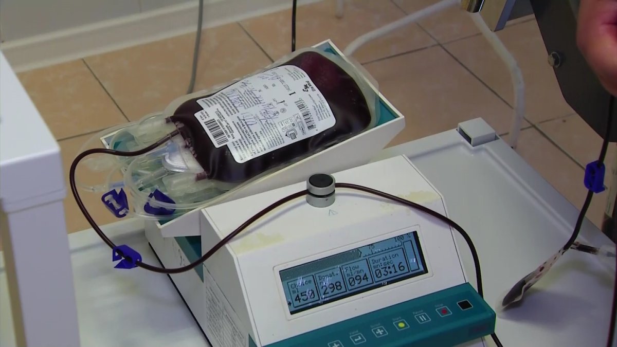 Донор күніне орай жастар қан тапсырып жатыр