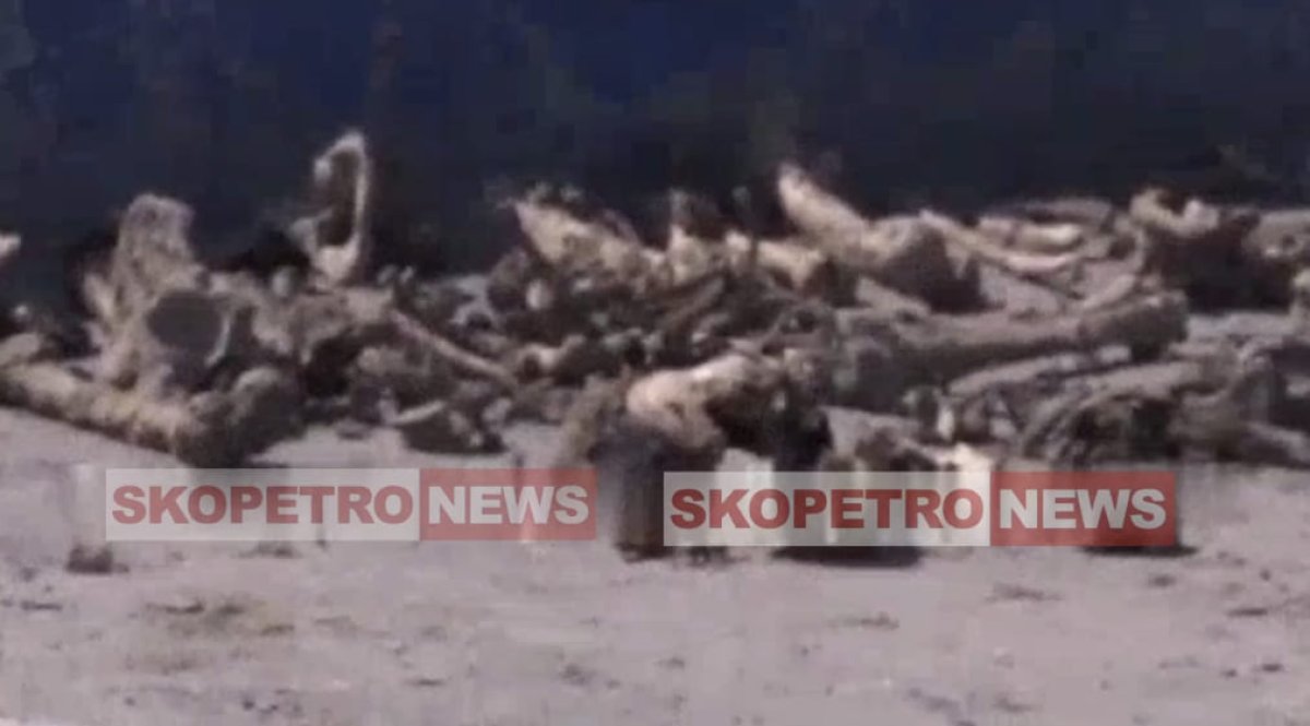 Человеческие останки нашли при реконструкции стадиона в Петропавловске