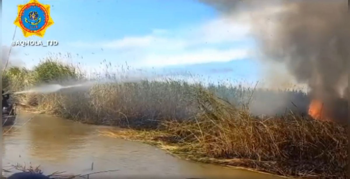 Камыш загорелся в Акмолинской области