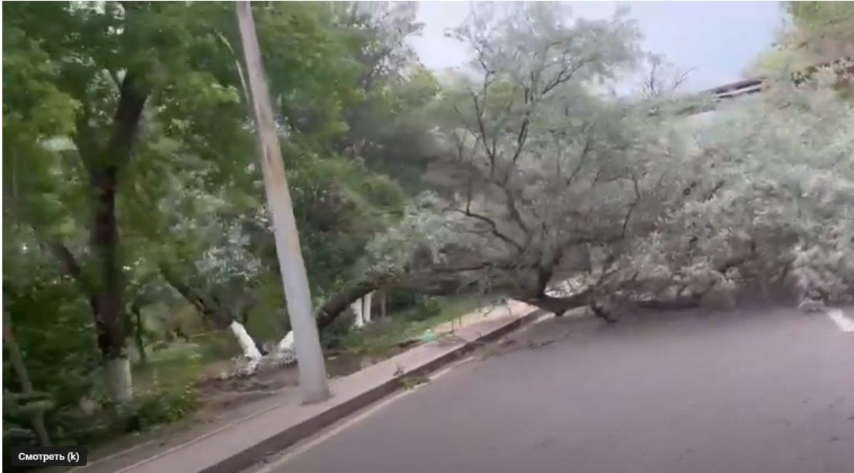 Крышу сорвало у Карагандинской академии МВД