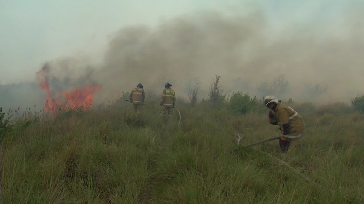 Астана маңында 15 гектар аймақ өртке оранды