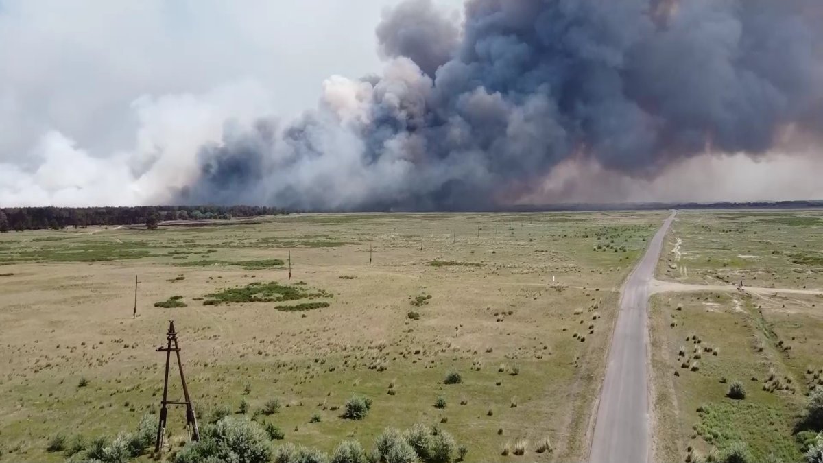 Министр экологии объяснила, почему прибыла в область Абай на третий день пожара
