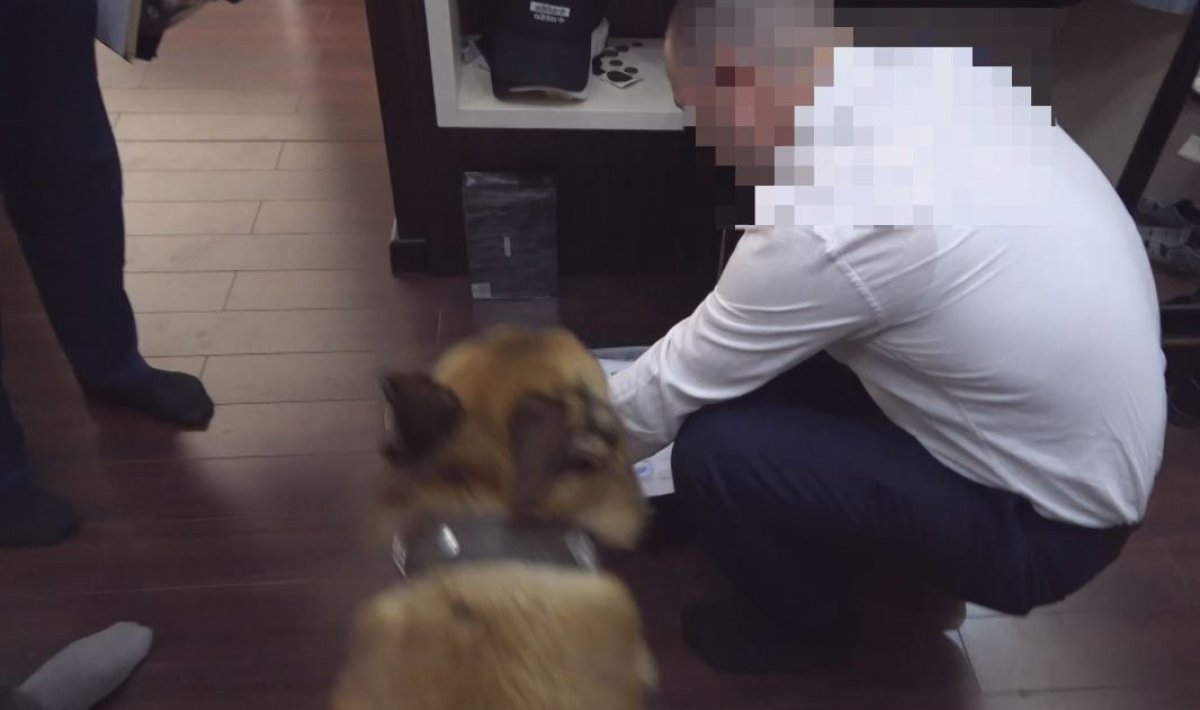 Преступную группу подозревают в хищении денег выделенных на субсидии в Костанайской области