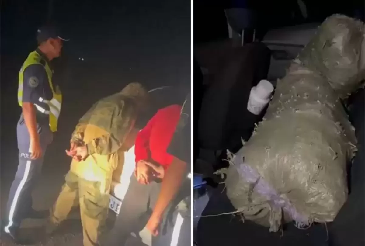 Қонаев қаласында 28 жасар жігіттен екі қап марихуана табылды