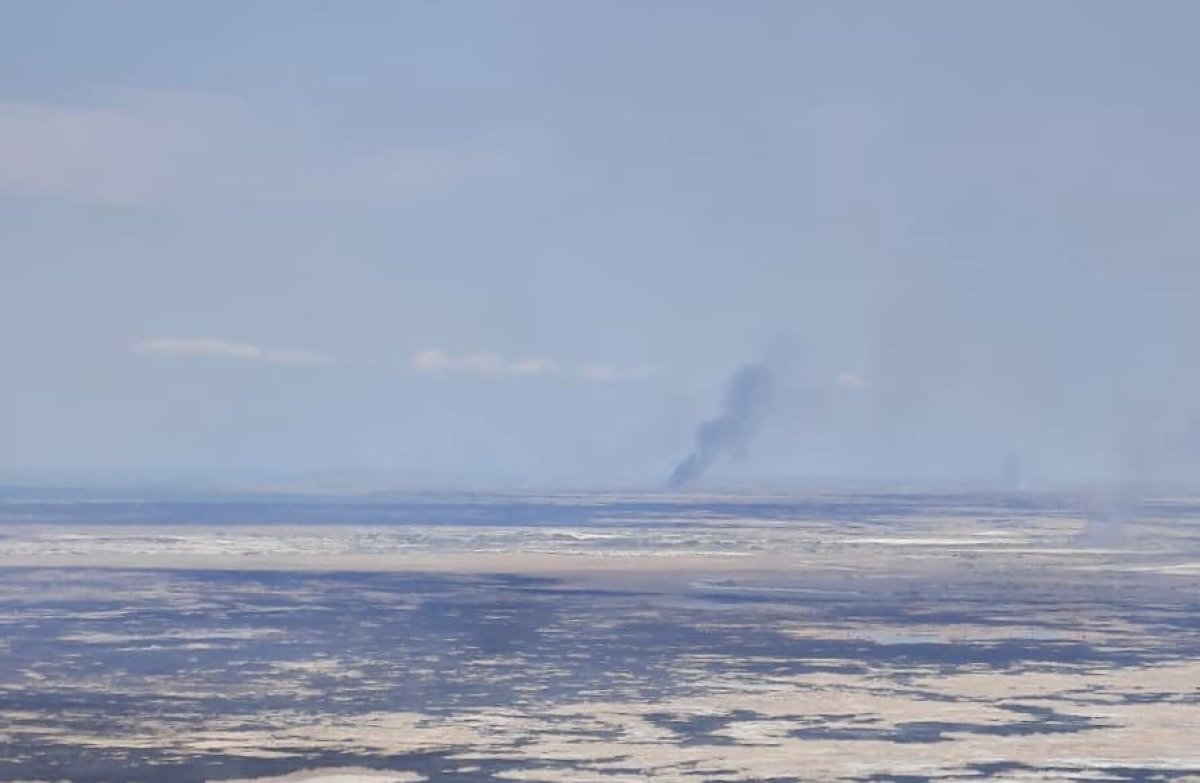 Пожар площадью в несколько тысяч гектаров произошел в Иле-Балхашском резервате