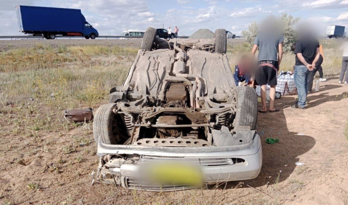 Автоледи погибла в ДТП в Павлодарской области