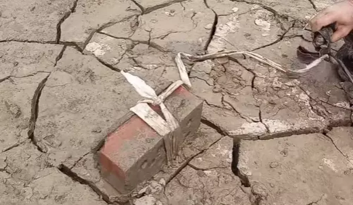 Иттің аяғына кірпіш байлап, суға батырмақ болды