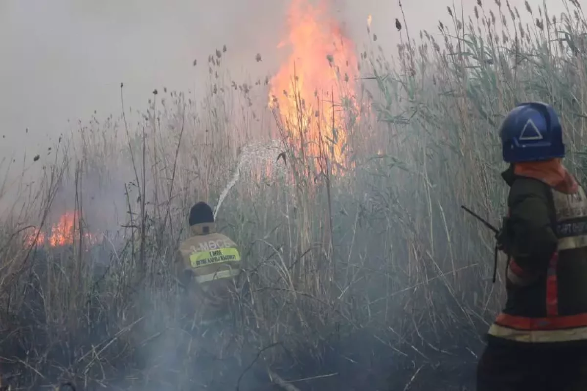 Астана маңында бір аптаға созылған өрт ауыздықталды